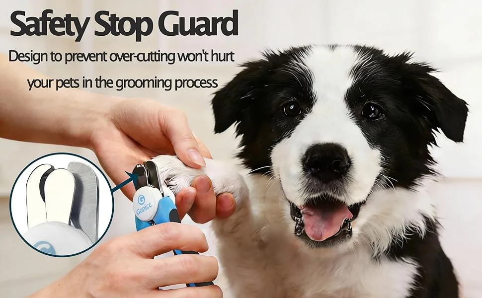 Pet Care